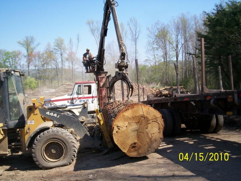 Wheel loader moving freshly cut logs at the yard